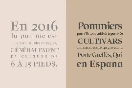 Solomon Serif Font Family