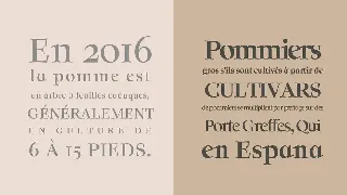 Solomon Serif Font Family