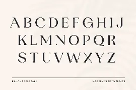 Beliau Modern Serif Fonts