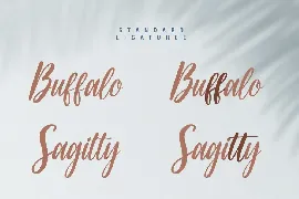 Belatty - Beauty Script Font