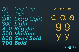 Magnify font