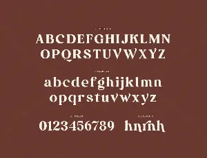 Elmond - Bold Serif Typefacec font