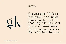 Modern Serif Font