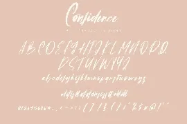 Confidence - Calligraphy Font