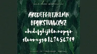 Daun Katuk - The Fresh Cute Font