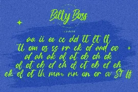 Billy Boss - Rough Brush Font