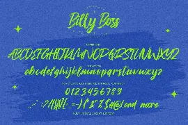 Billy Boss - Rough Brush Font