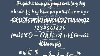 Diotam | Modern Script Font