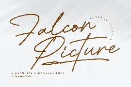 Falcon Picture Monoline Signature Font