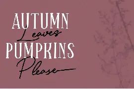 Sparkling Bright - Beauty Font Duo