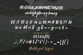 Mollroy font