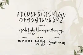 Steven Carter - Asian Hand Drawn Font