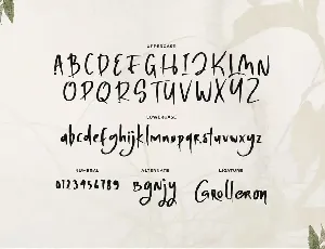 Steven Carter - Asian Hand Drawn Font