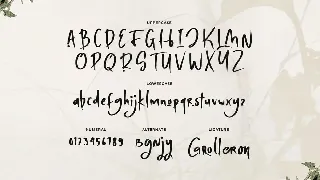 Steven Carter - Asian Hand Drawn Font