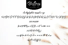 Bullgary | Naturally Handlettering Script Font