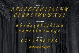 Arthas Brush Script Font