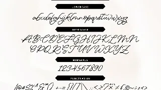 Charmelly | Handwritten Script Font