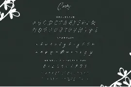 Carry | Modern Signature Font