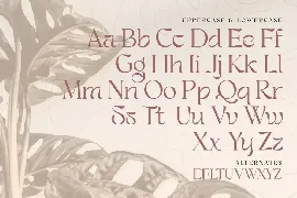 Bestagrach - Unique Ligatures Connected Serif font