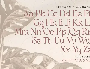 Bestagrach - Unique Ligatures Connected Serif font