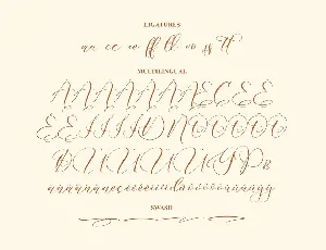 Dantony Holanda Luxury Script Font