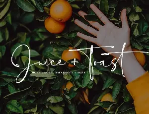 Wolmington Script Font