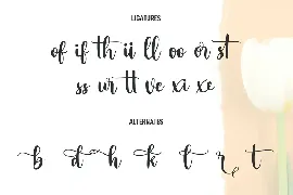 Marciato Script Font