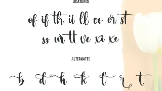 Marciato Script Font