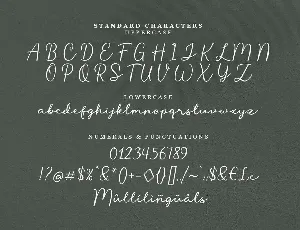 Liontin font