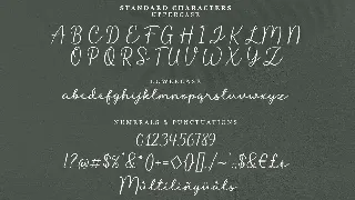 Liontin font