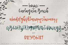 Carlagata font