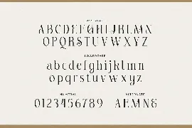 Shanemy - Expressive Serif Typeface font