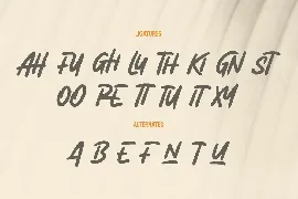 Arghfunks Fandwritten Display Font