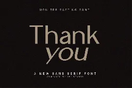 New Sans Serif Font