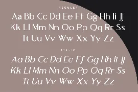 New Sans Serif Font