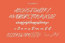 Testimoney Signature Font