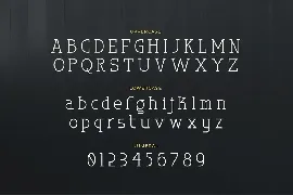 Monogamy - Modern Monospace Font