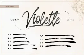 Violette Brush font