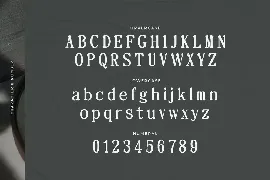 Neatness - Rounded Serif Typeface font