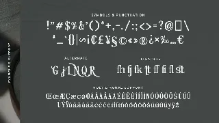 Neatness - Rounded Serif Typeface font