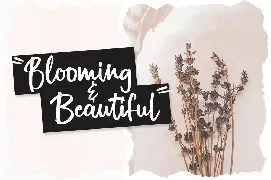 Winter Glows Brush Font