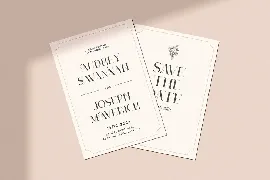 Naive Realism - Expressive Serif Typefacec font