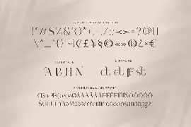 Naive Realism - Expressive Serif Typefacec font