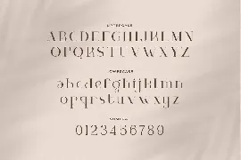 Naive Realism - Expressive Serif Typefacec font