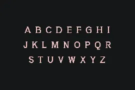 Yahya Slab Serif Font Family