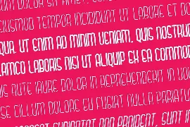 Brooklyn Syndrome - Modern Display Font