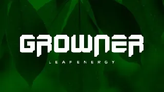 Energrow Fonts