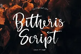 Bitheris Script Brush Font