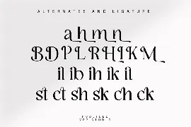 Elegant Serif Font