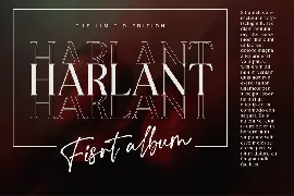 Elegant Serif Font